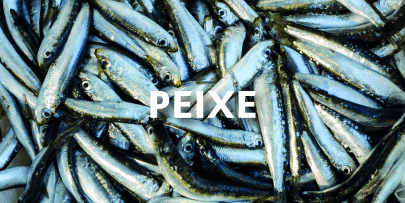 keycooler_peixe